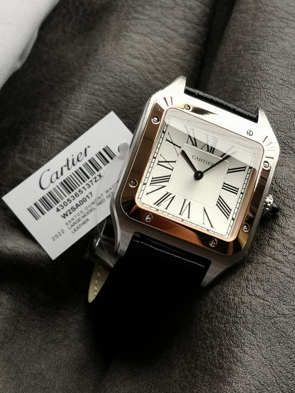 Stainless steel case with black strap ladies watch